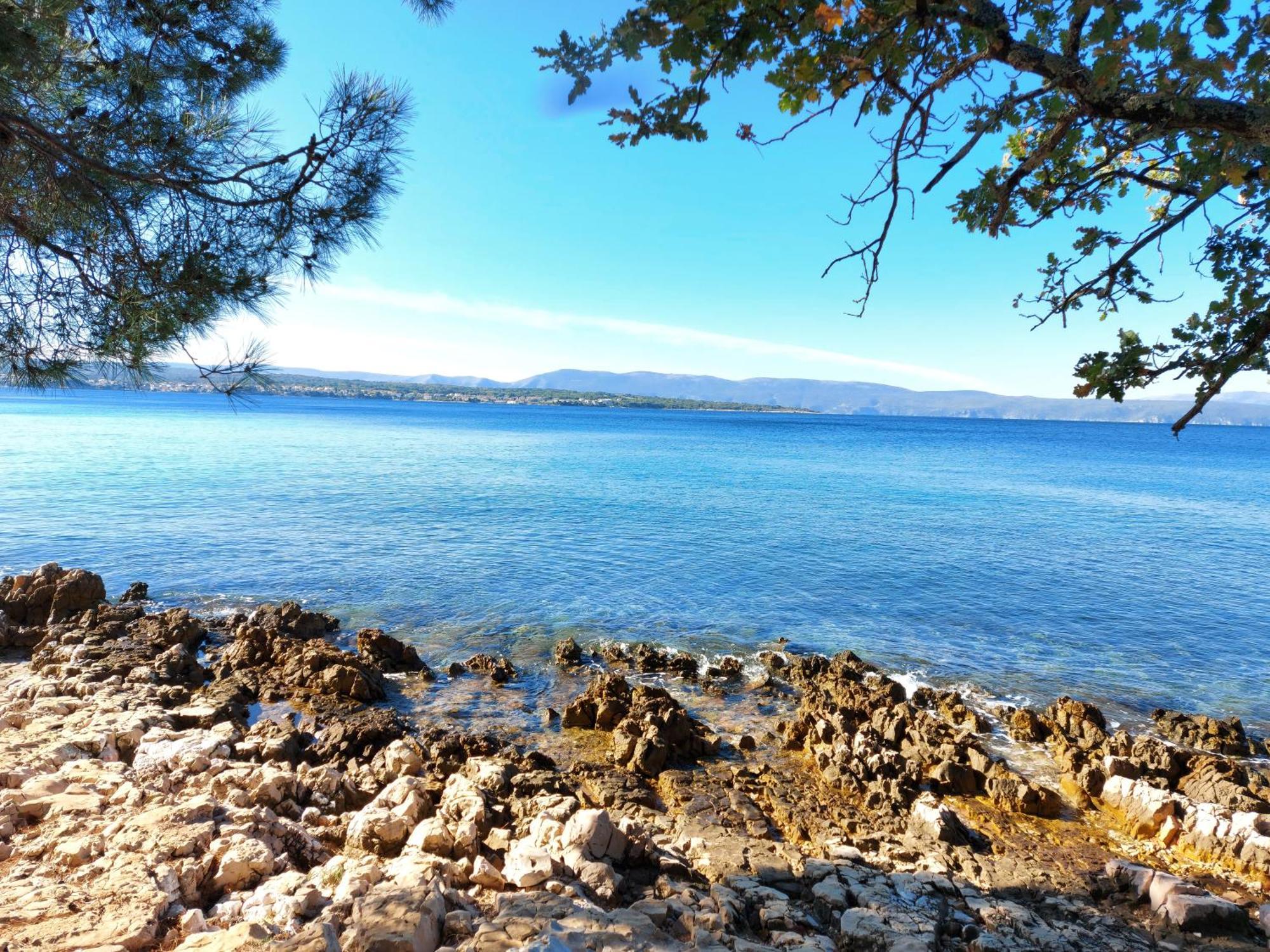 Vila Kraljica Малинска Номер фото